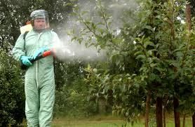 The developing world is awash in pesticides